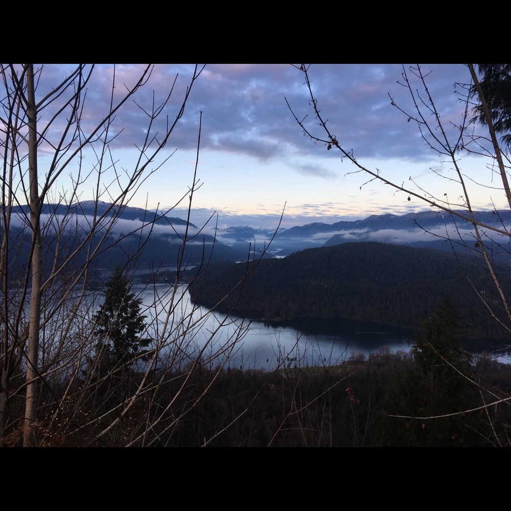 Meet your Posher, Sophie